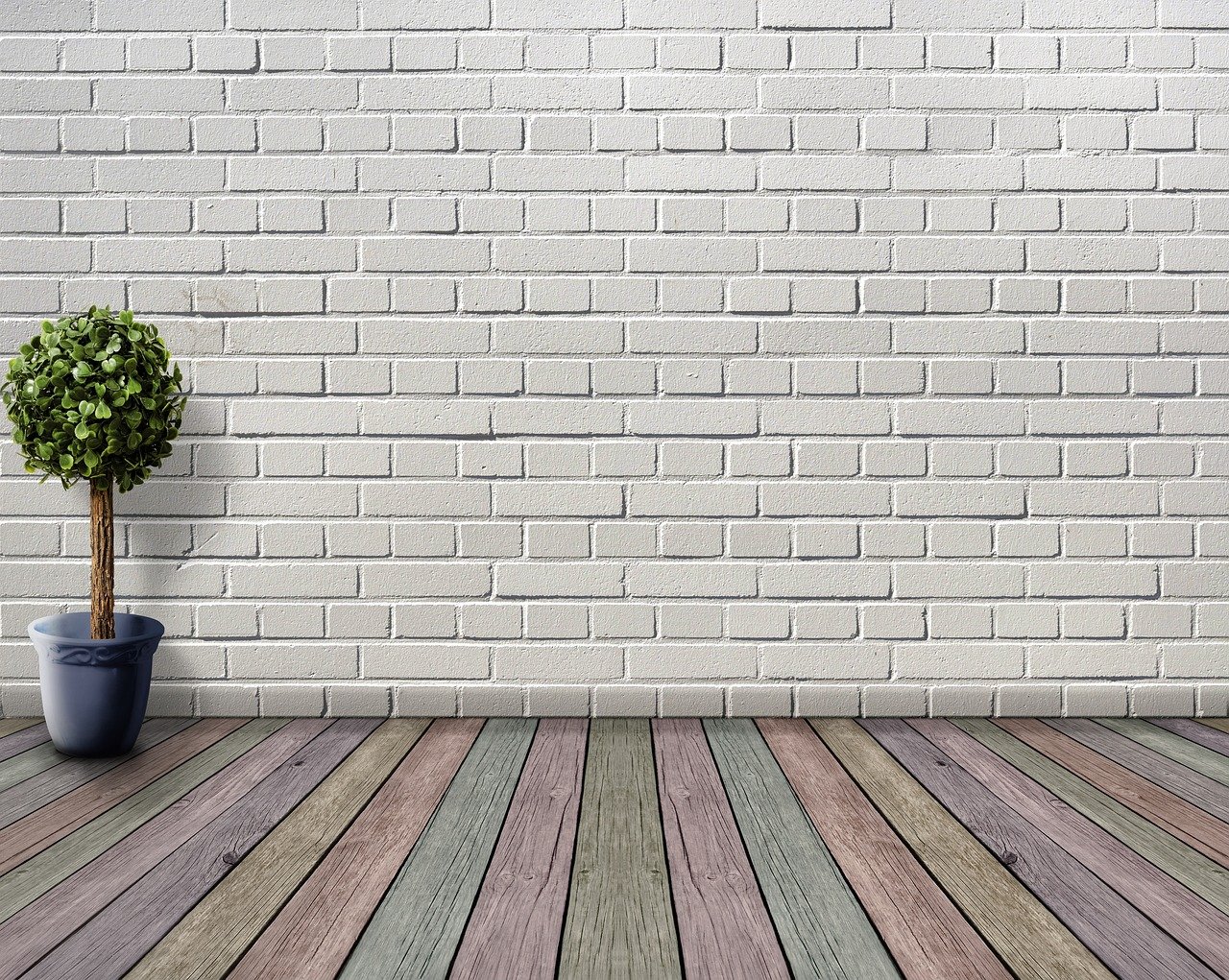 space, empty, wooden floor, plant, plant pot, boxwood, deco, houseplant, white, inner space, wooden floorboards, coloured, wall, room, stone wall, architecture, living room, floor, nature, inside, brick wall
